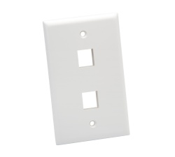 Standard Wall Plate, 2 Port